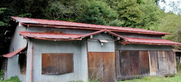 福岡都市近郊で快適な暮らしを実現する志免町家族と未来を育む理想の住環境